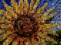 Tiled Sunflower