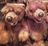 Toy Bears