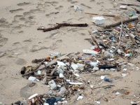 Trash On A Beach