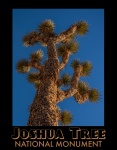 Travel Poster Joshua Tree