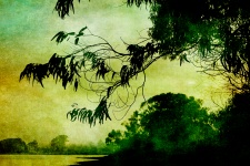 Tree Silhouette Vintage Painting