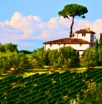 Tuscany Landscape Watercolor