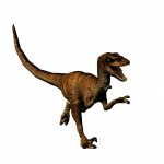 Velociraptor Running