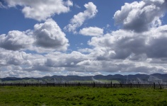 Vineyard And Clouds Landscape