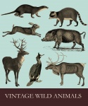 Vintage Wild Animals