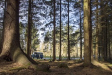 VW Bus Camping