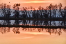 Wetlands At Sunset