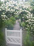 White Rose Gate