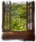 Window View Of Flowers