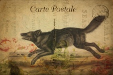 Wolf Vintage Floral Postcard
