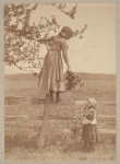 Woman Picking Flowers Vintage