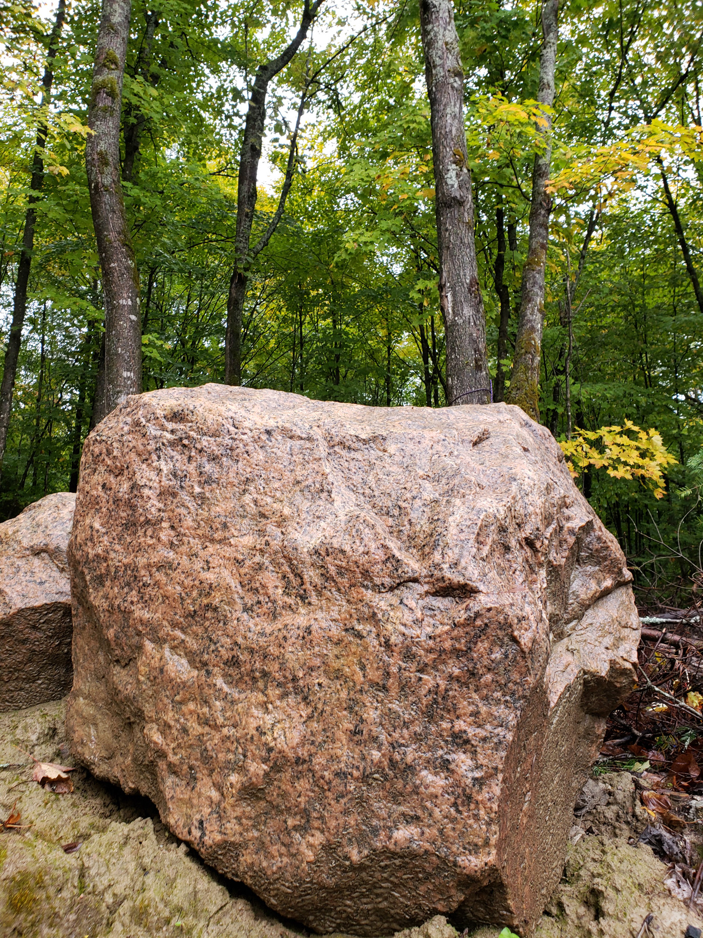 Big Rock In Forest