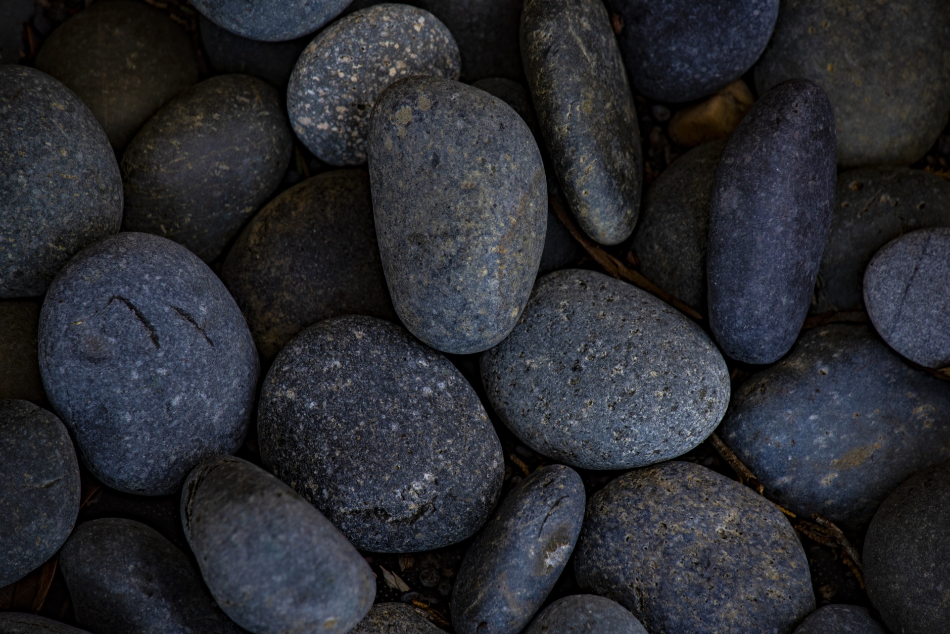 River rocks in blue tones