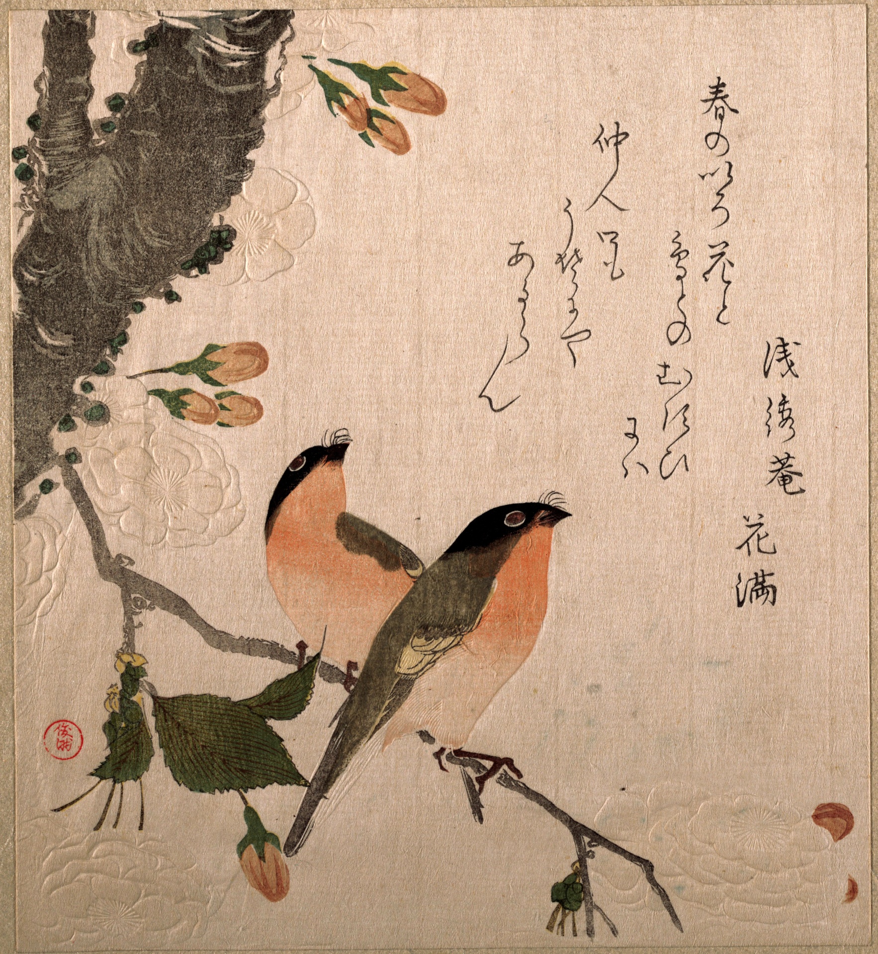 Bullfinch and cherry blossom vintage japanese art print