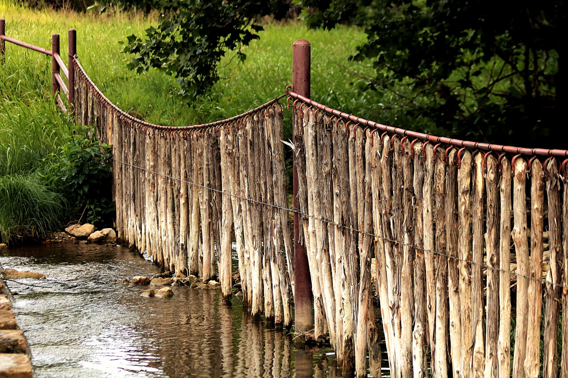 A fence made of cedar trees hangs across a small creek at the edge of the woods.