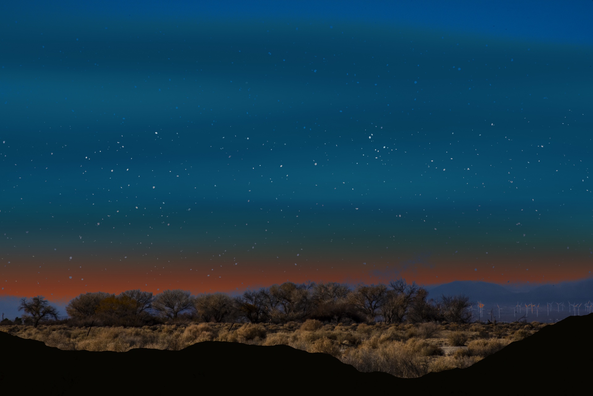 Desert Night Landscape