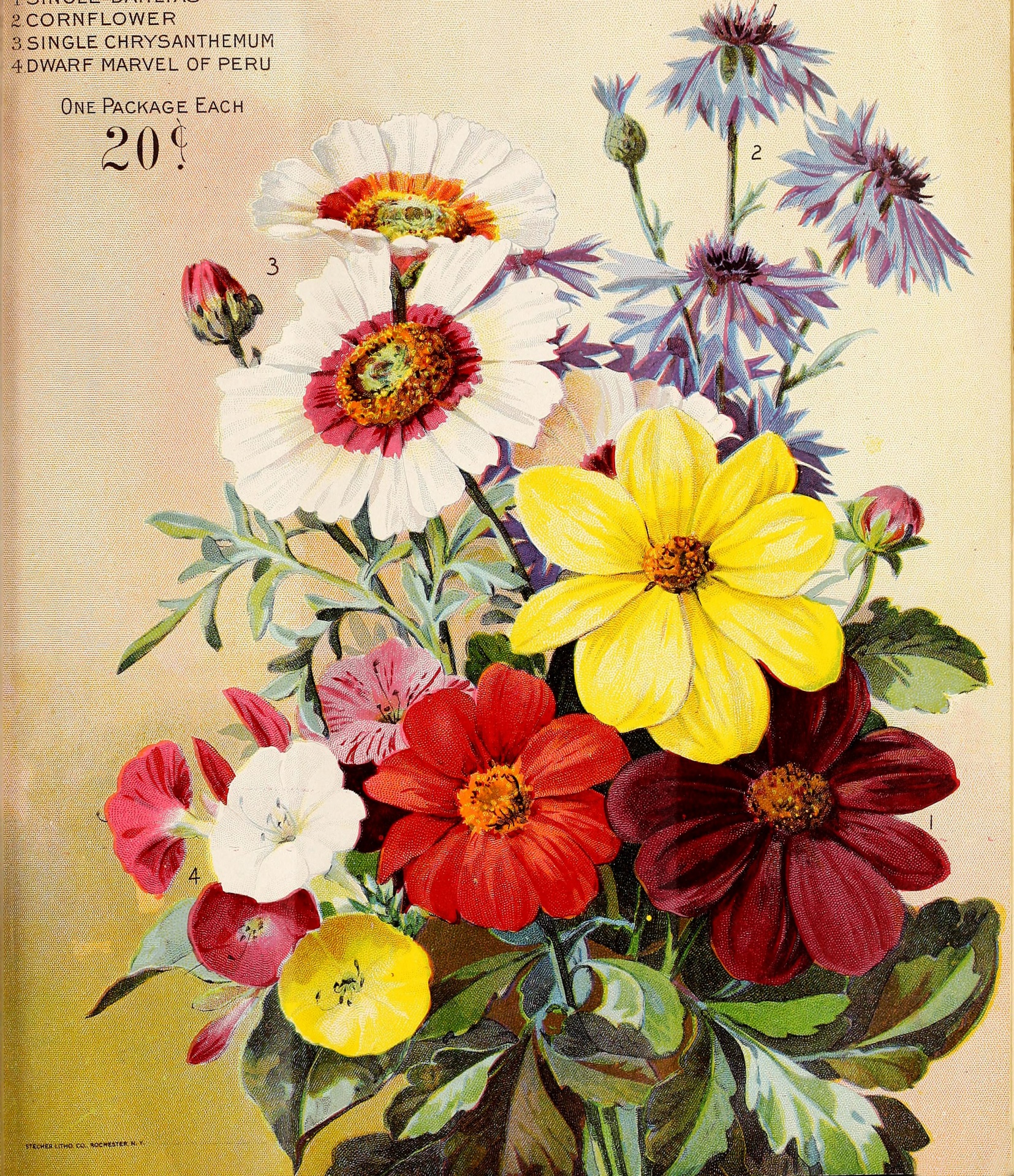 Flowers Vintage Floral Display