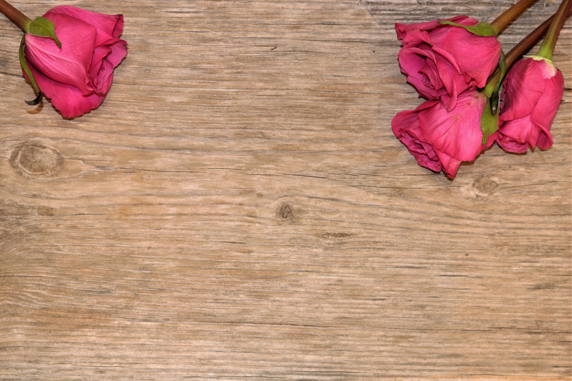 Four pink roses frame a wood grain background with room for text.