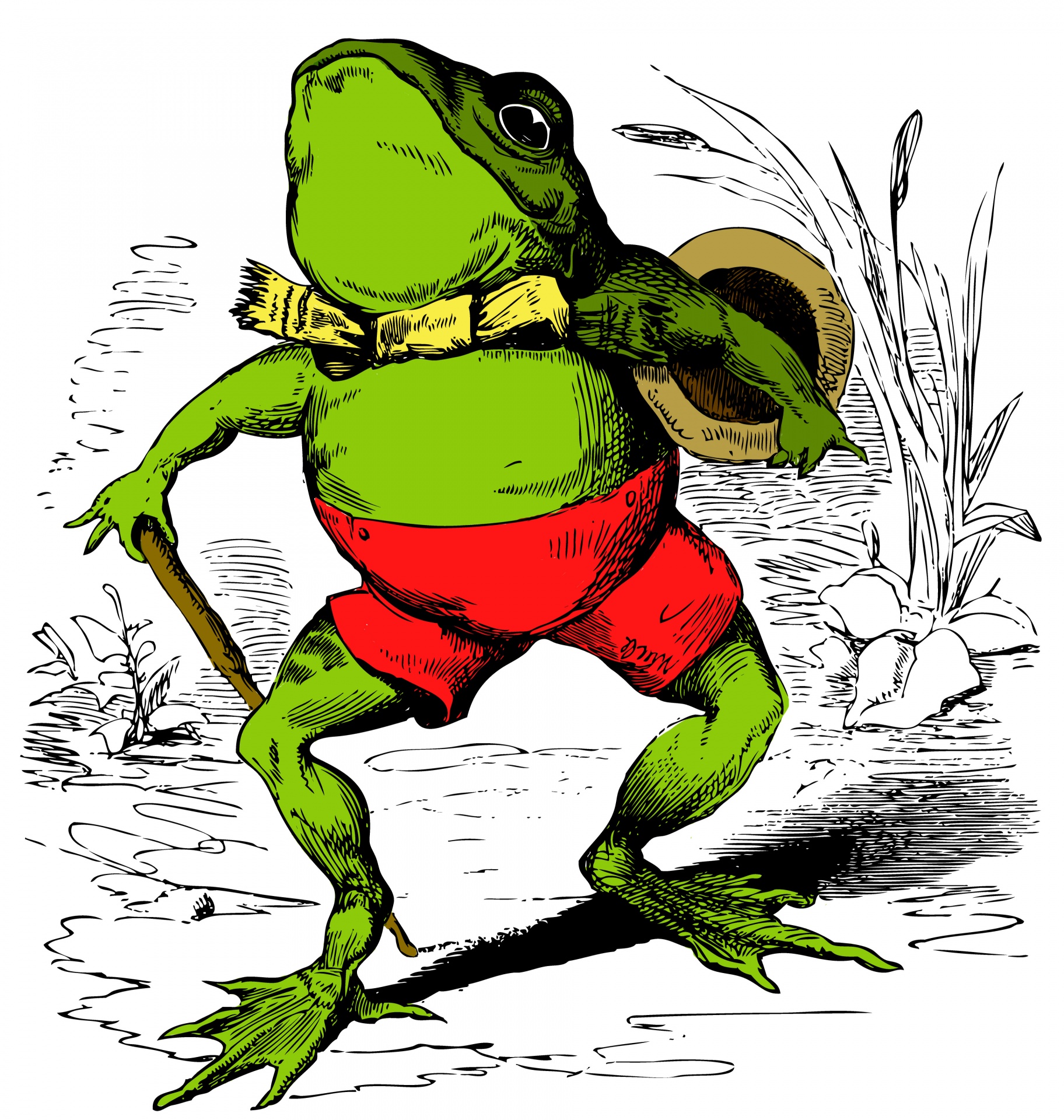 Vintage drawing of a cartoon frog that I have colored in to give it a more modern, bright feel