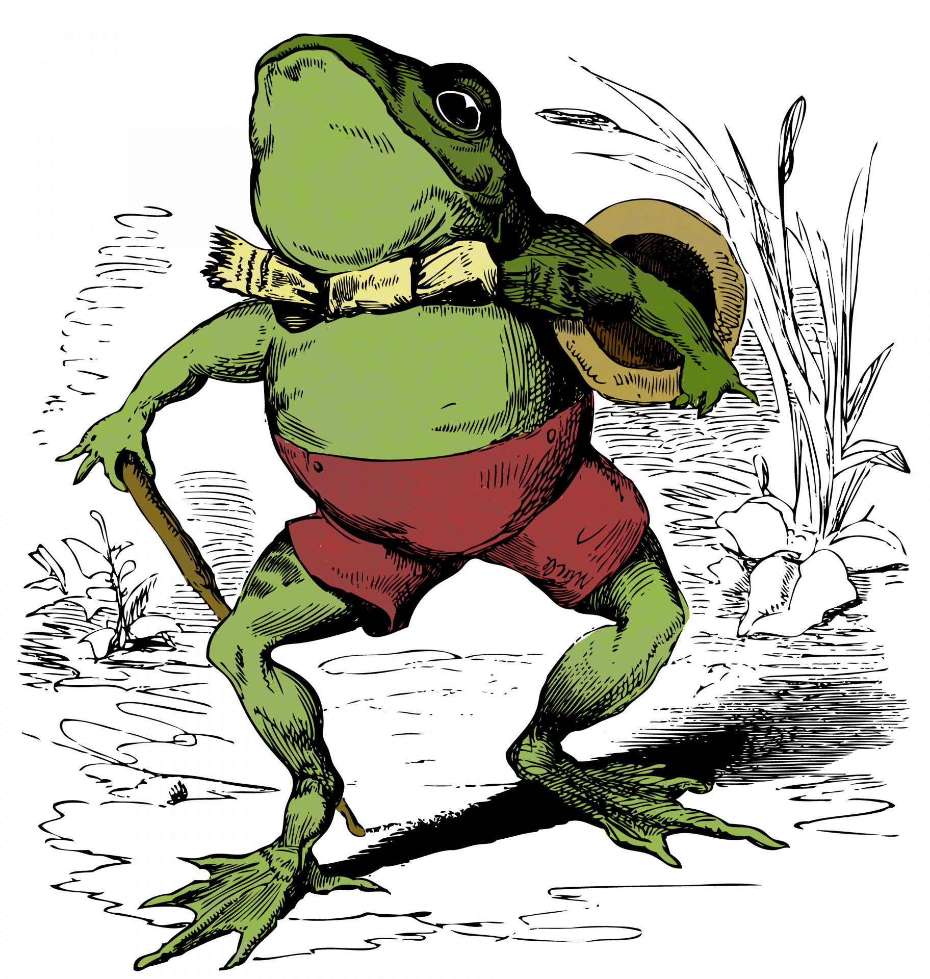 Vintage drawing of a cartoon frog that I have colored in but still retaining the vintage feel