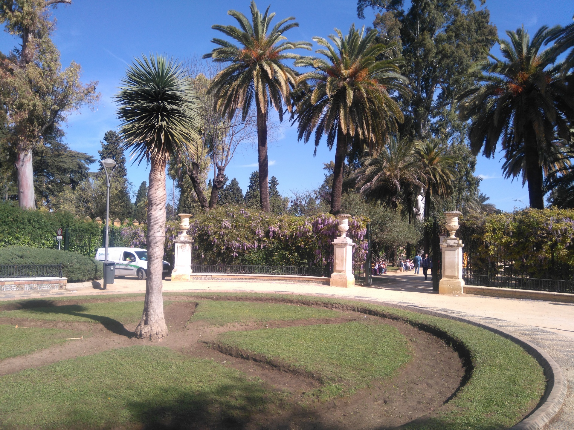 Roundabout With Palm Trees And Plants