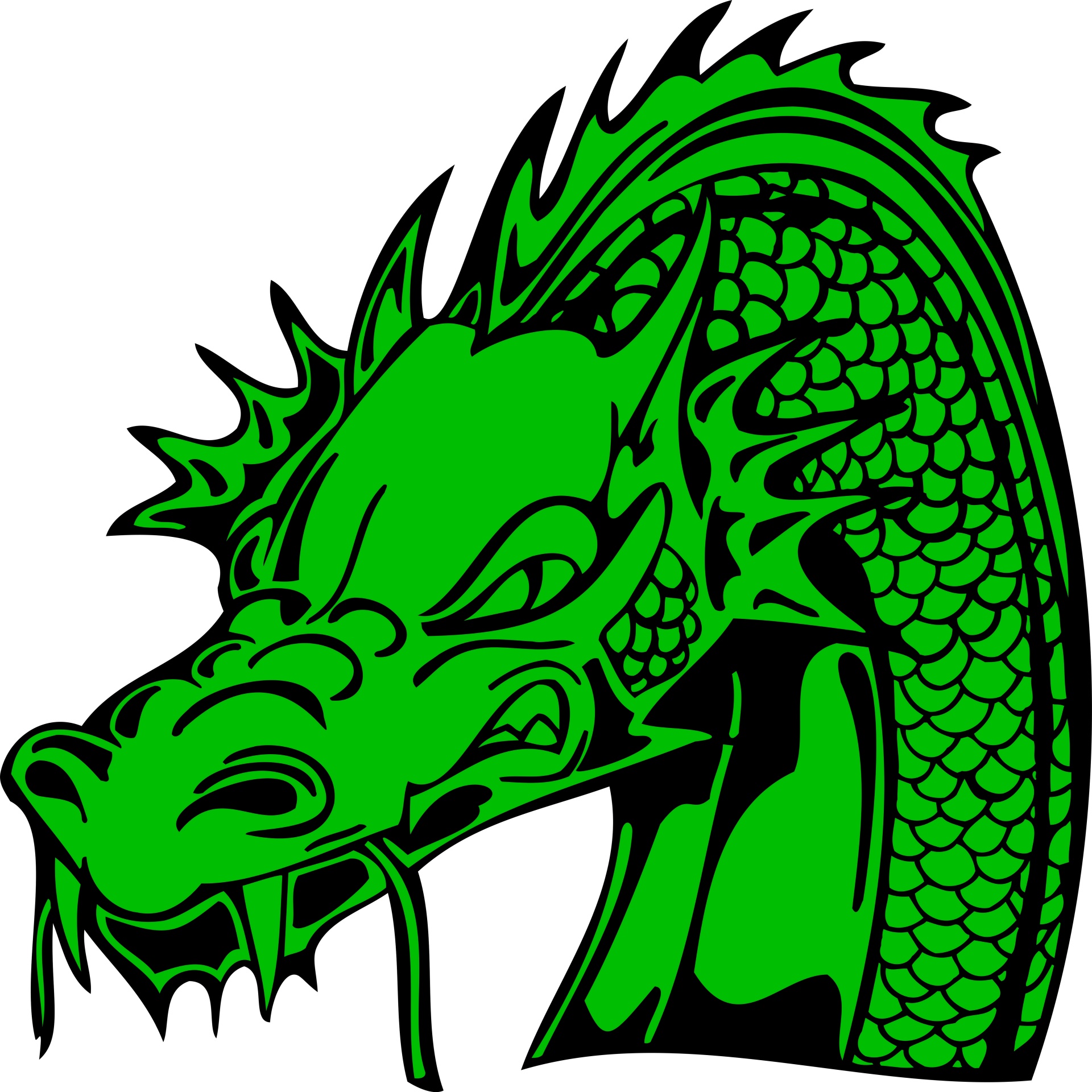 green dragon head on white background
