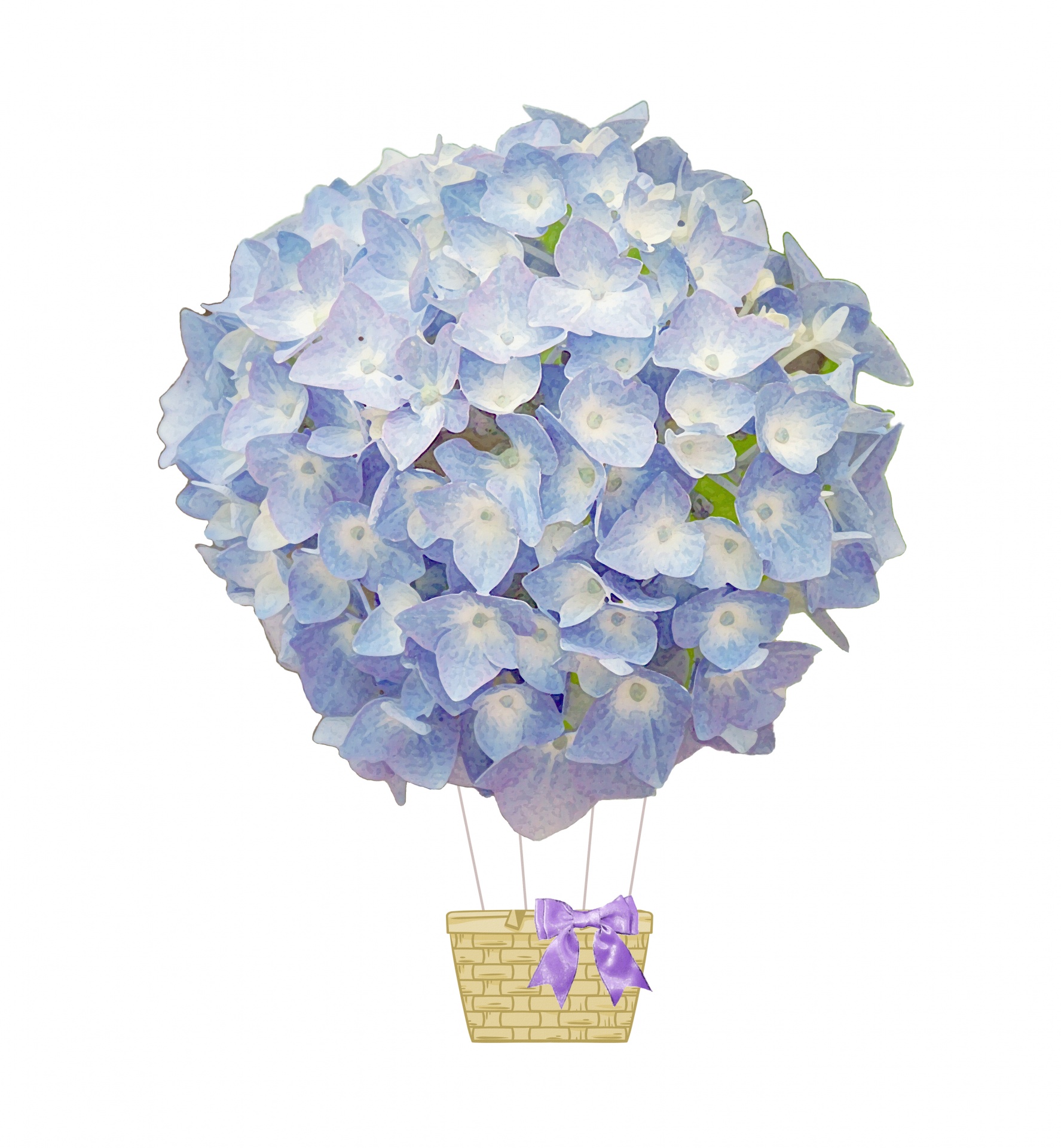 Hydrangea Flowers Vintage Ballon