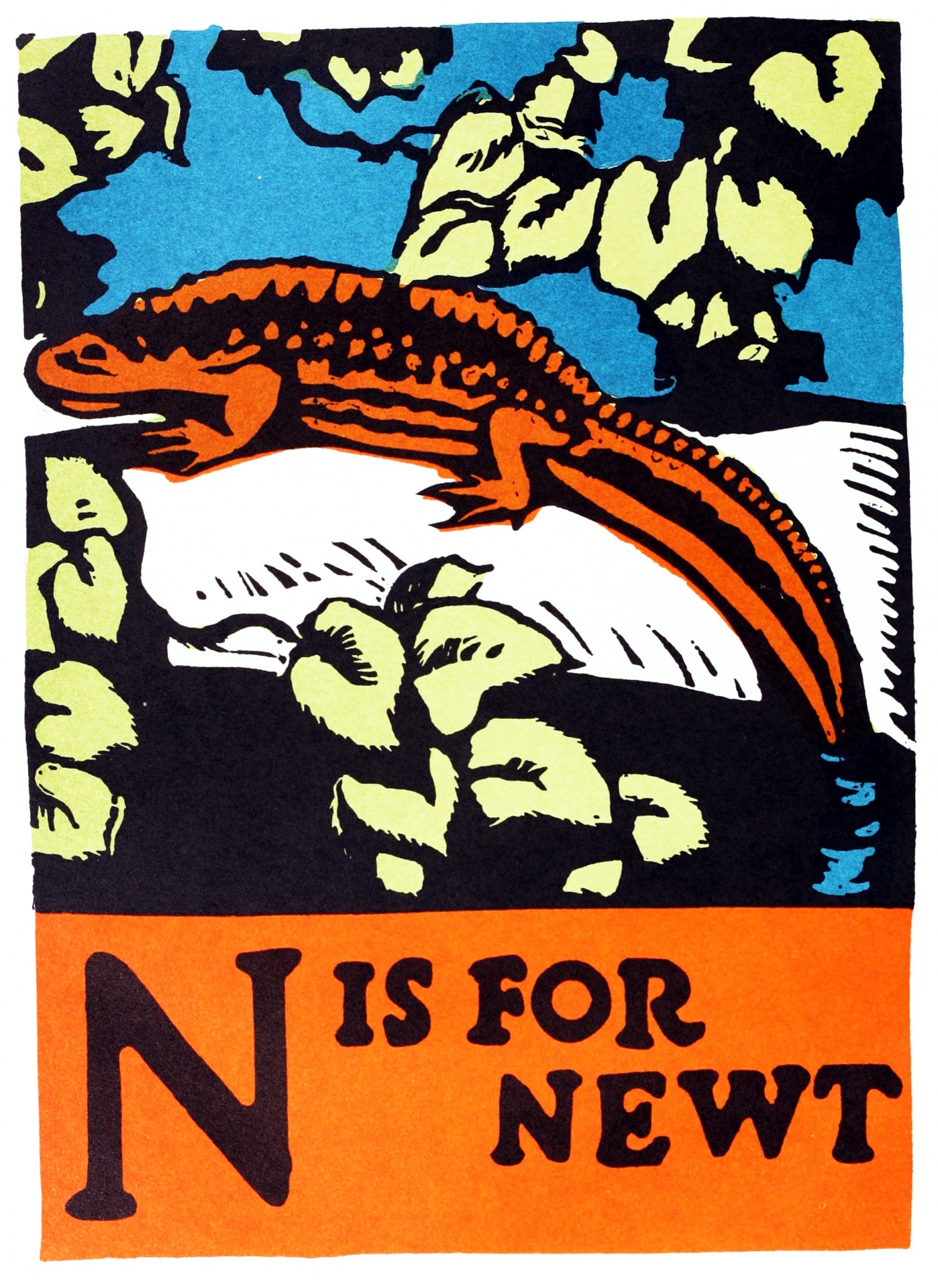 N Is For Newt ABC 1923