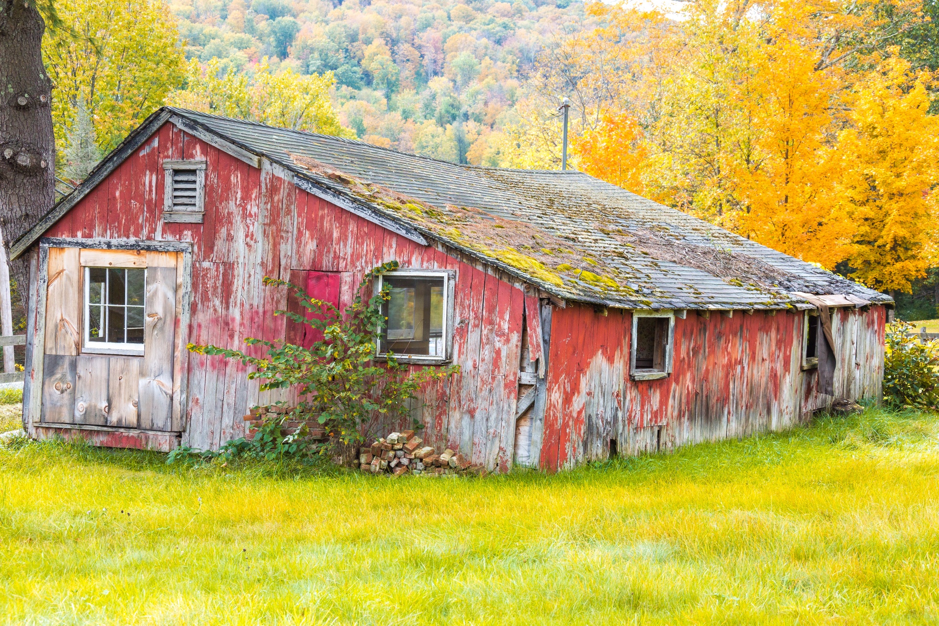 Abandoned house in fall