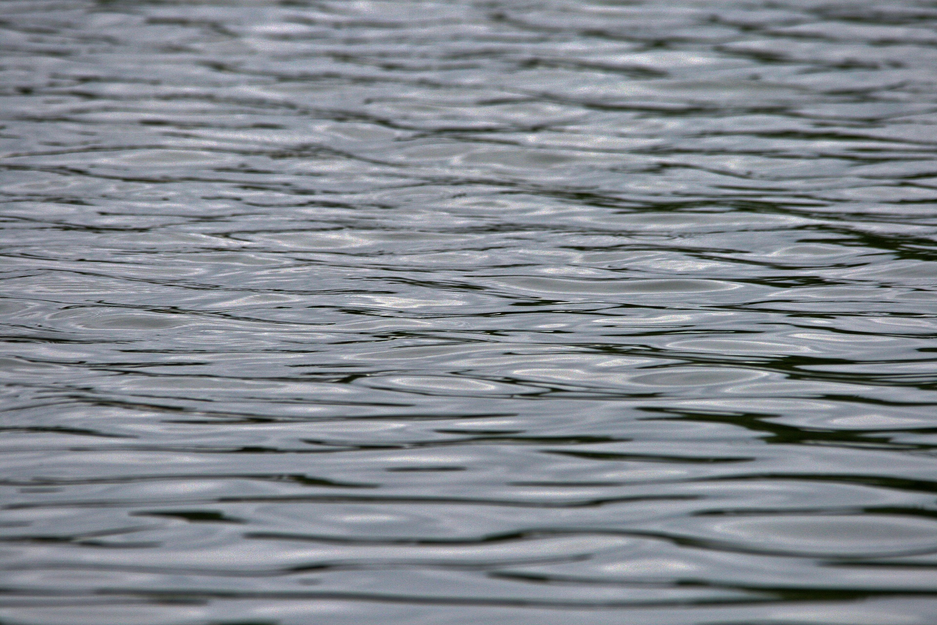 Rippled Surface Of Water