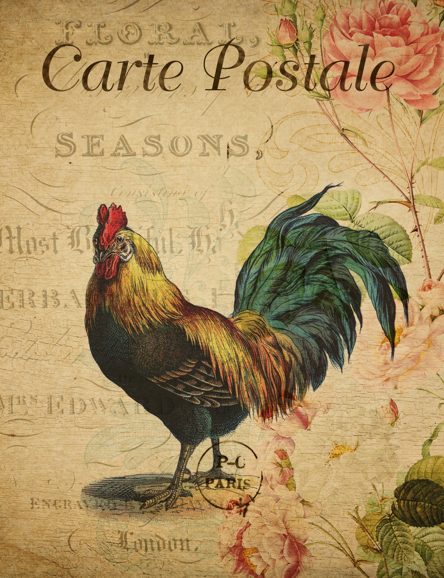 Vintage rooster on old french floral postcard