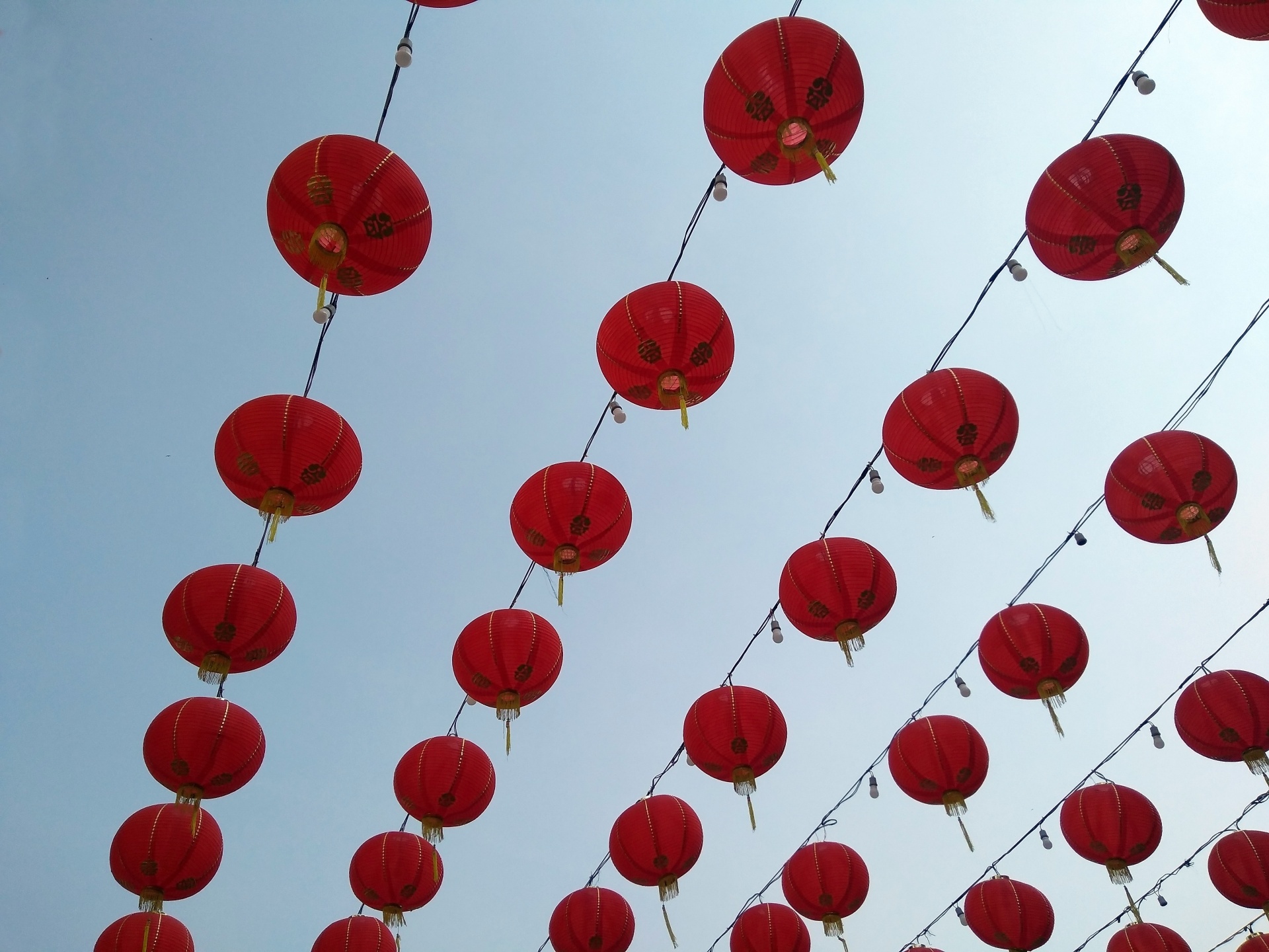 Rows Of Chinese Lanterns