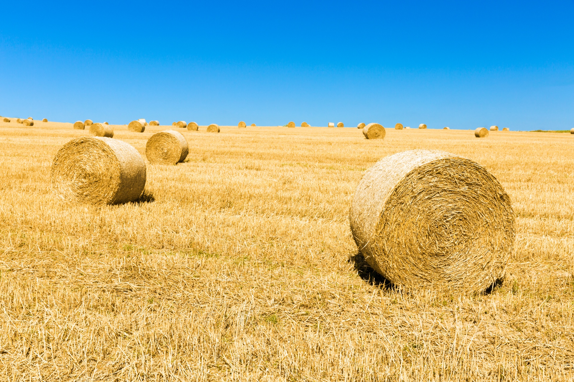 Straw Bales And Blue Sky