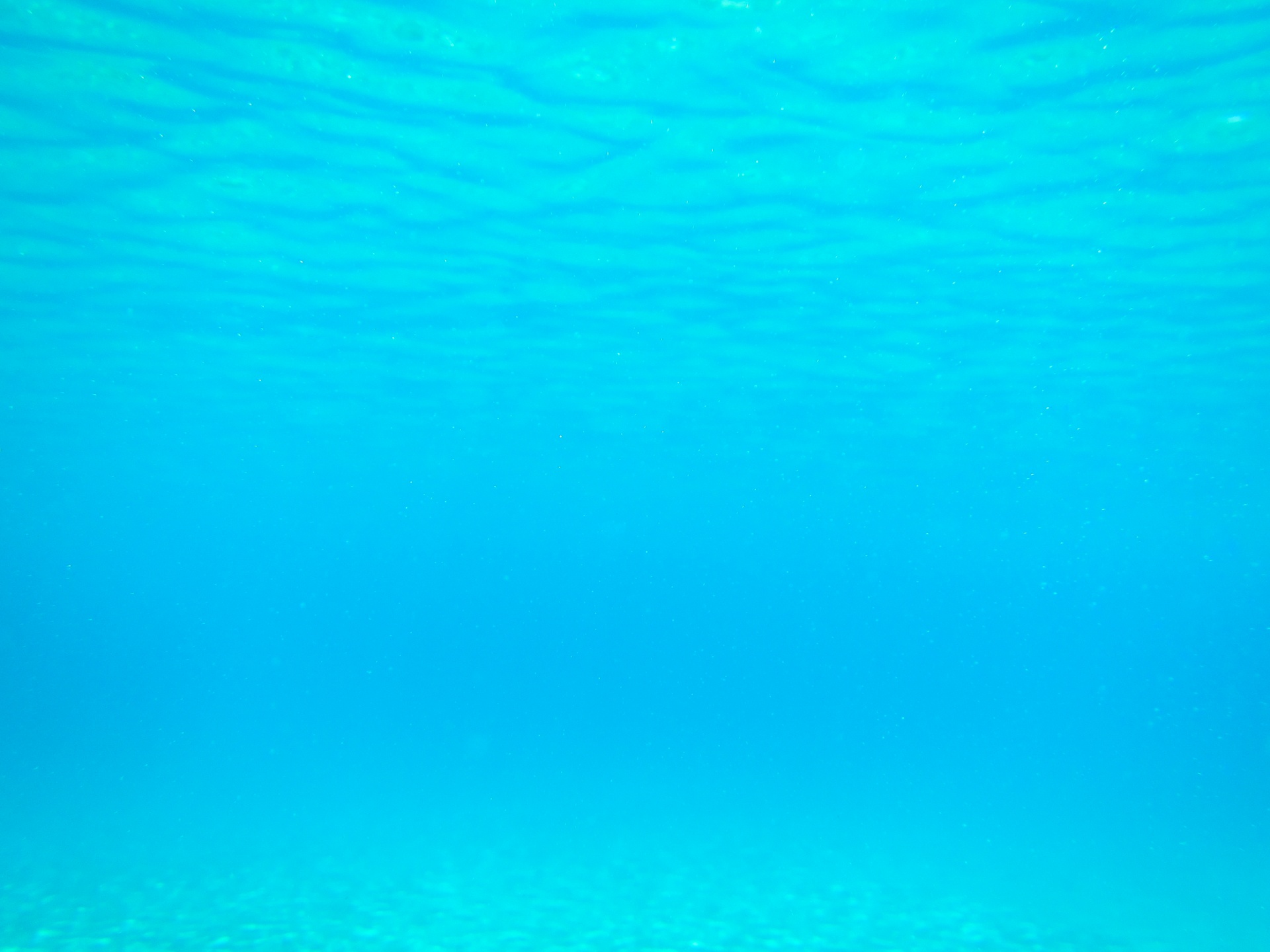 Underwater Sea Background