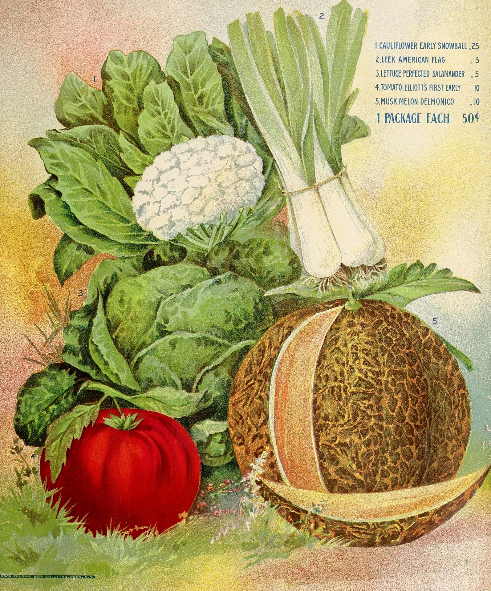 Lovely illustration for vintage advert for vegetables and fruit,