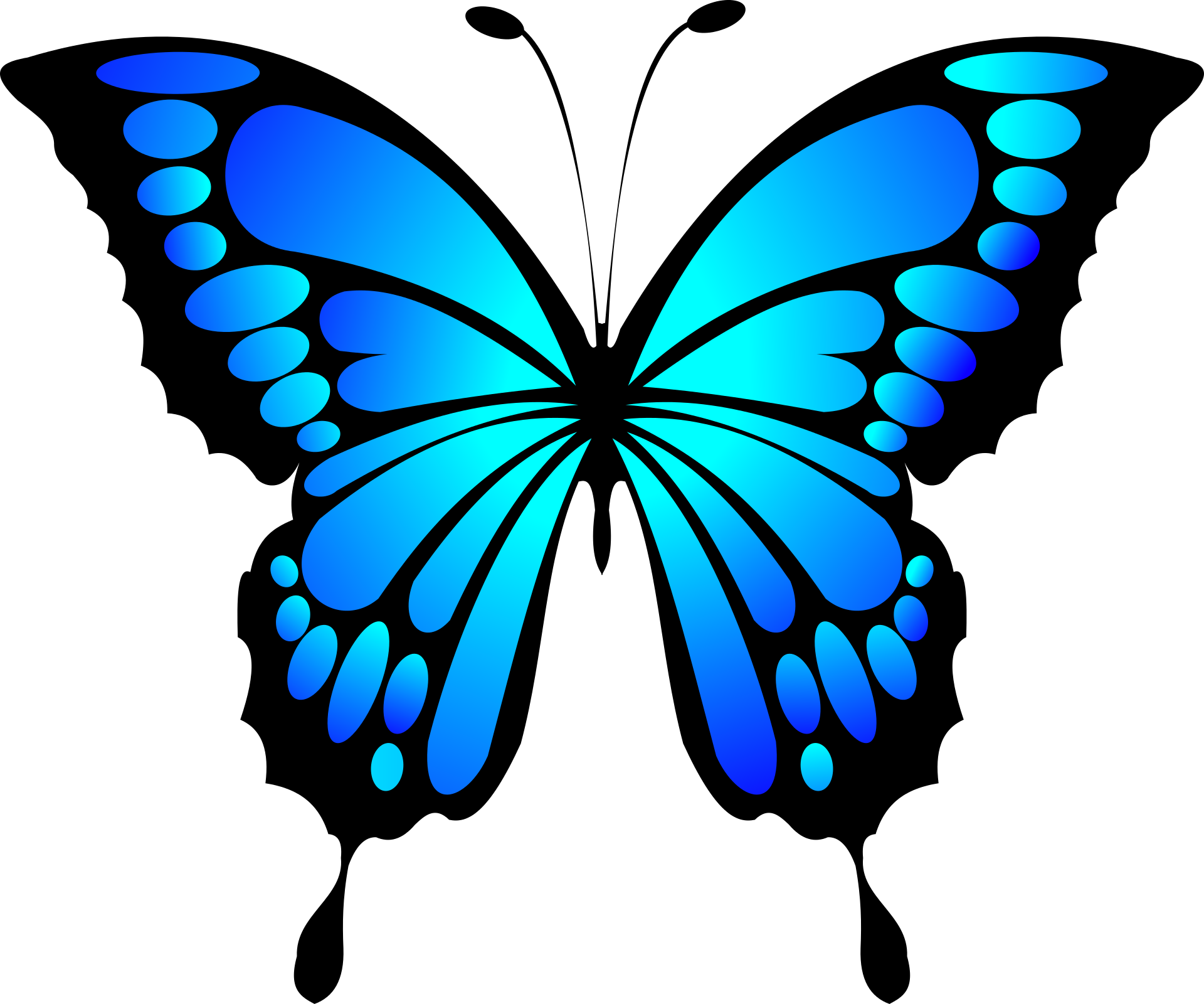 Blue animated butterfly background