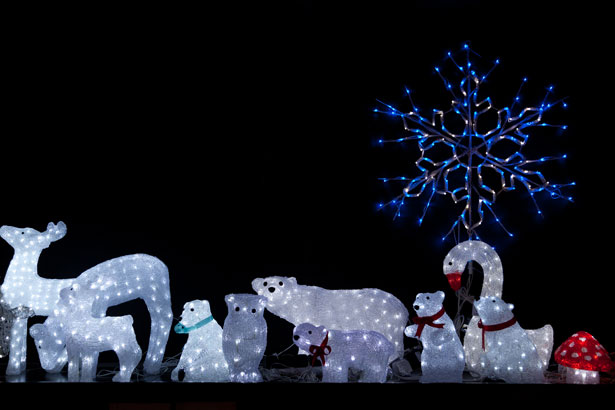 Las luces de Navidad de animales Stock de Foto gratis - Public Domain  Pictures