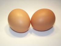 2 Eggs In Shell