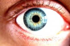 Blue Eye - Macro