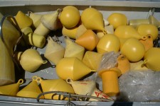 Yellow Buoys