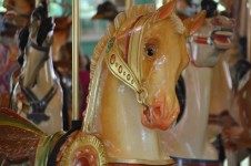 Carousel Horse,