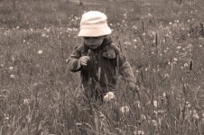 Child In The Meadow