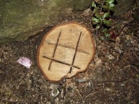 Noughts & Crosses - Carved On A Tree