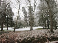 Park In Winter