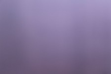 Plain Violet Background