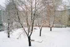 Snowfall - Landscape