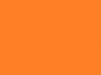 Solid Orange Background