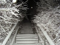 Stairs Covered In Snow