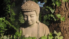 Sunlit Buddha