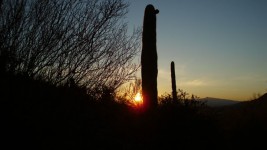 Tucson Sunrise 2012